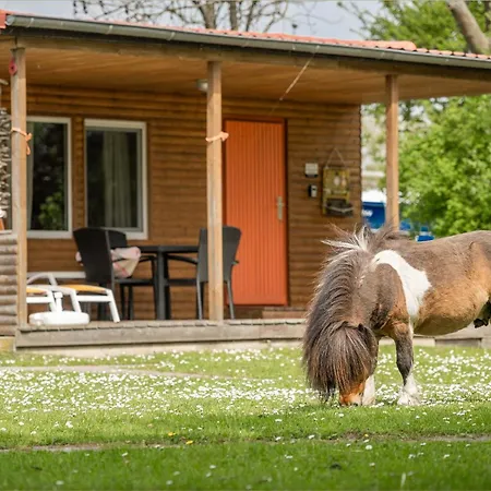 Vakantiehuis Moewenort 1 *